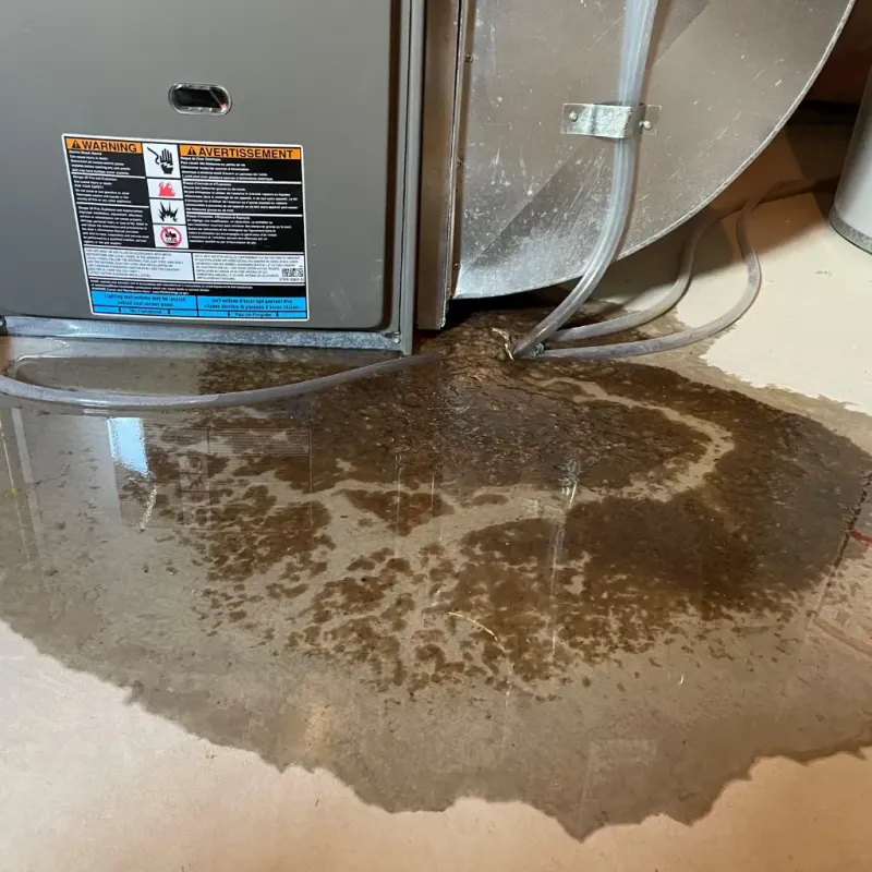 Appliance Leak Cleanup in Addison, VT